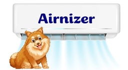 Airnizer CA, Inc. company logo