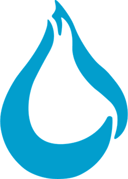 Water Heater Solutions company logo