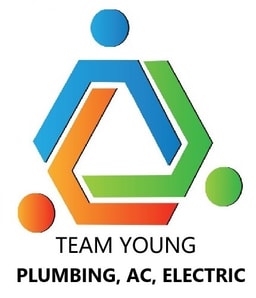 Team Young, Inc. company logo
